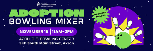 Adoption Bowling Mixer